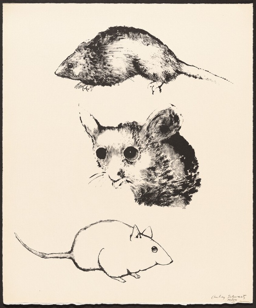 Three Mice