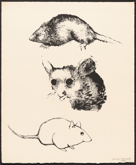 This is a drawing of three different depictions of a mouse placed vertically on a plain background. The top image shows a detailed drawing of a mouse in profile, the middle image shows a close-up view of the mouse's face, and the bottom image simplifies the form into an abstract, line-art representation of a mouse.