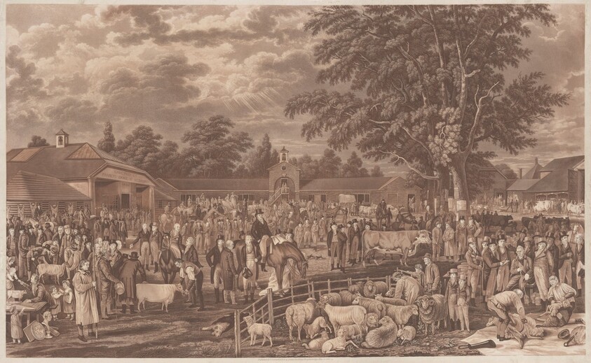 Wobourn Sheepshearing