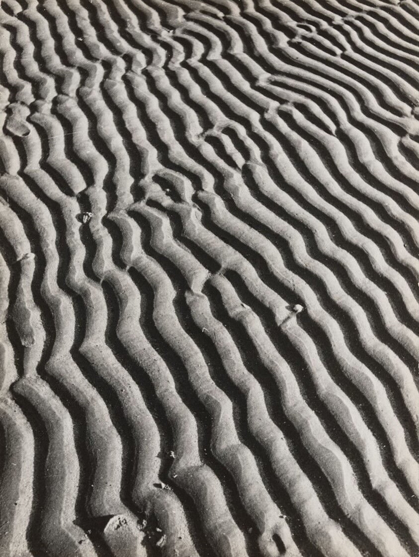 Sandwellen (Sand Dunes)