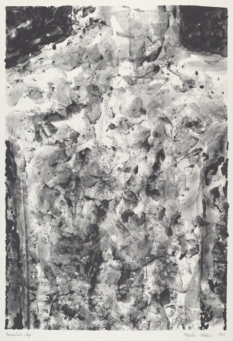 The image depicts irregular shapes and lines forming a complex texture. Light and dark tones create a pattern resembling natural rock formations or tree bark. The overlapping patches of ink or paint appear sporadic and layered, suggesting dynamic movement.