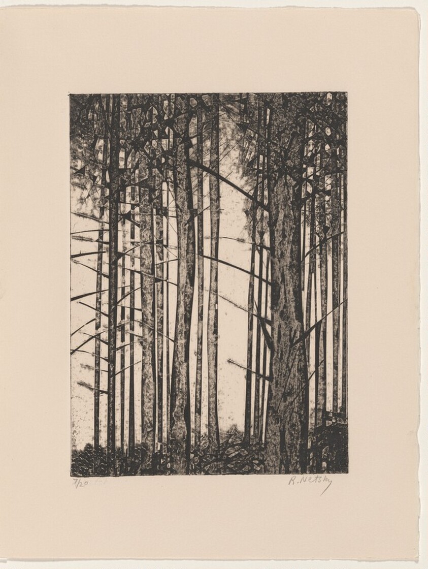 Pine Forest - Cresheim Valley