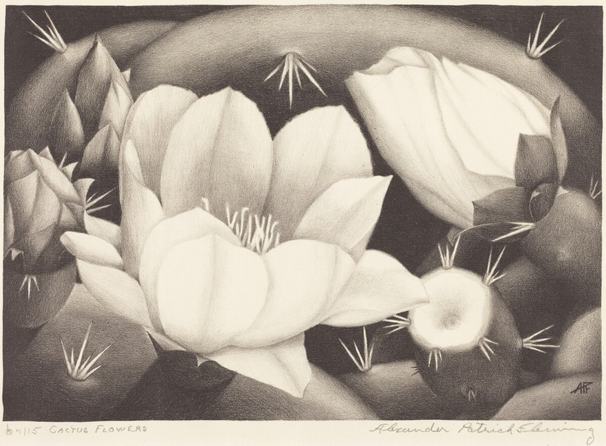 Cactus Flowers