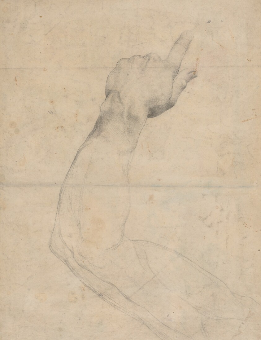 Study of an Arm [verso]