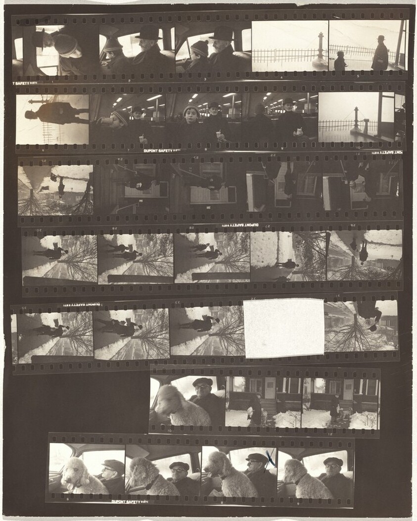 Russian--Staten Island, New York no number