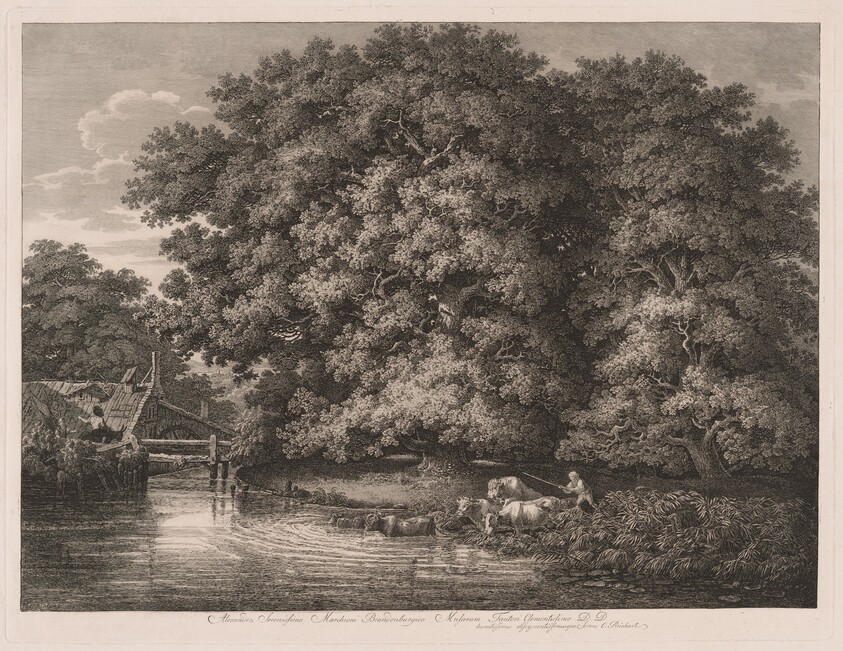 The Mill at the Great Oaks