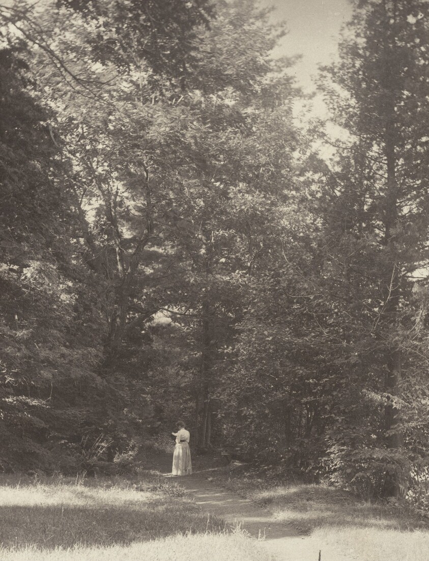 "Hedwigsweg" II, Lake George