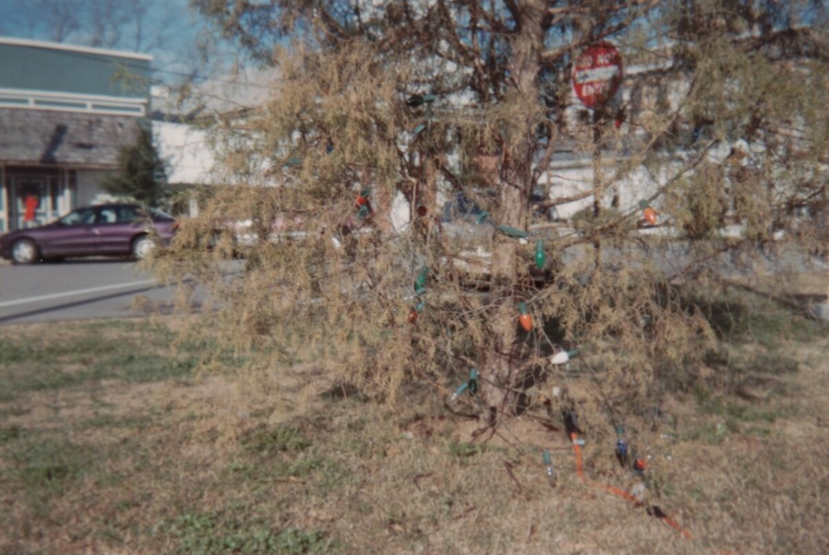Christmas Tree, Centreville, Alabama