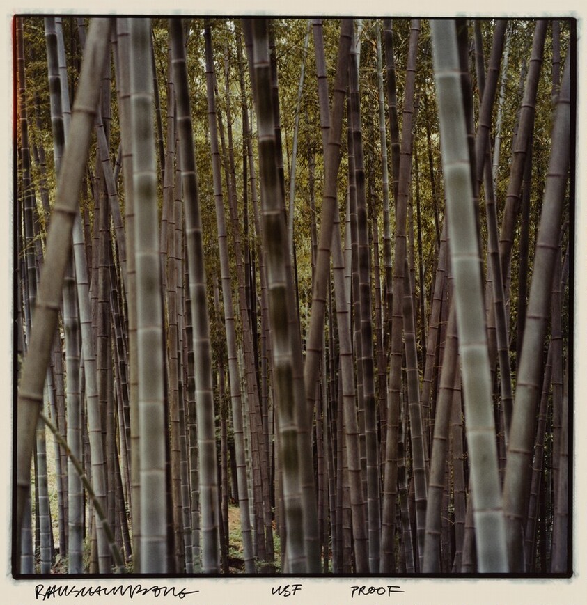 Study for Chinese Summerhall