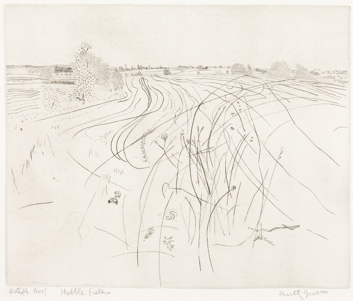 Stubble Fields