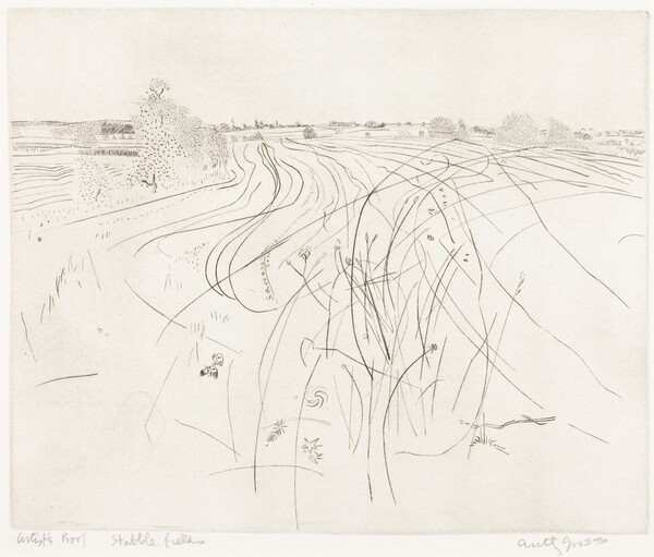 Stubble Fields