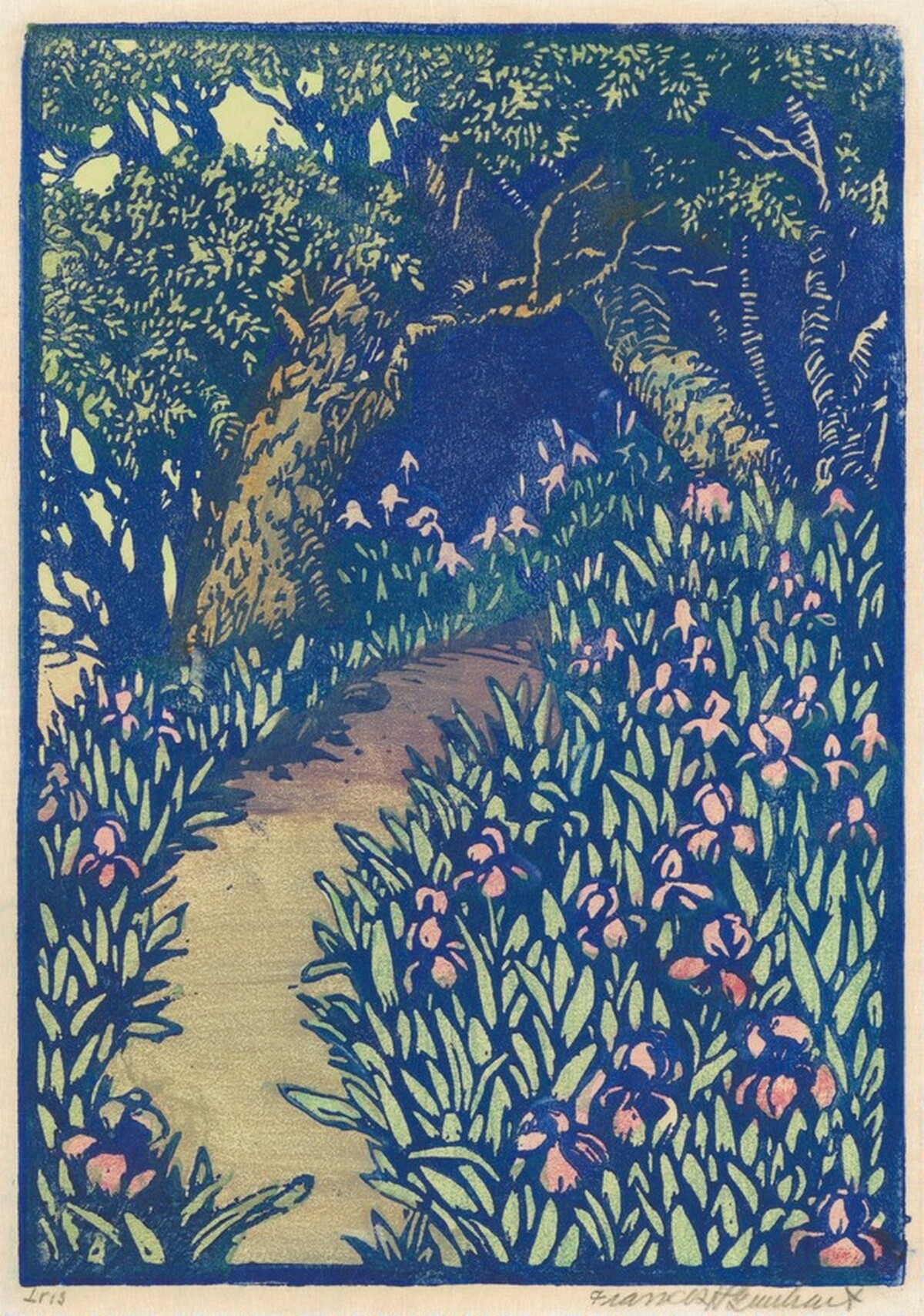 Iris