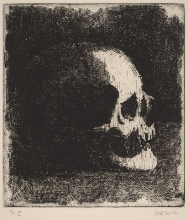Untitled (Skull)