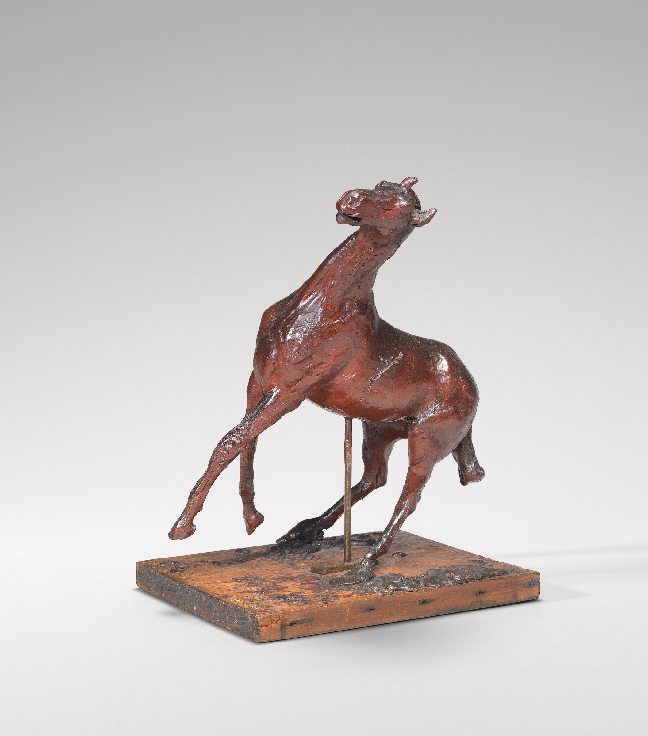 Horse Rearing, Edgar Degas, 1880s