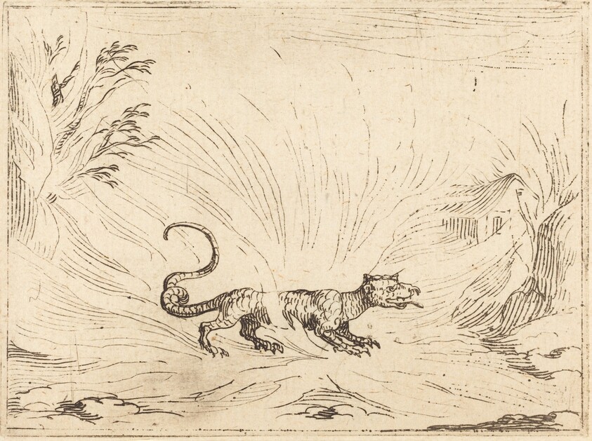 Salamander Surrounded by Flames