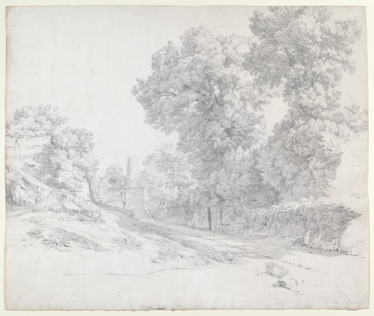 Oaks along the Appian Way near Albano
