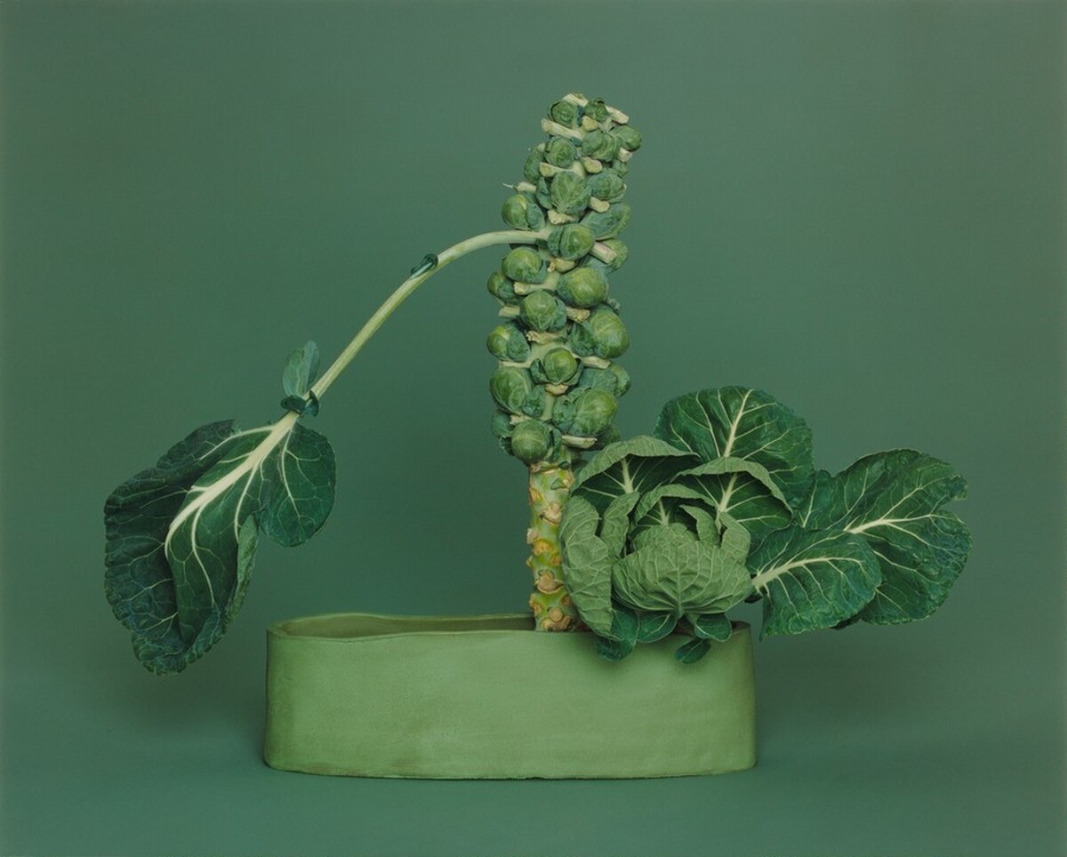 NÕ-no Ikebana, arranged by Haruko Takeichi, December 1, 2002 (December 2-3)