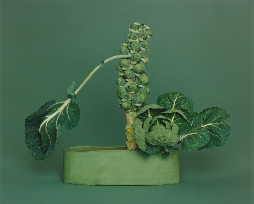 NÕ-no Ikebana, arranged by Haruko Takeichi, December 1, 2002 (December 2-3)