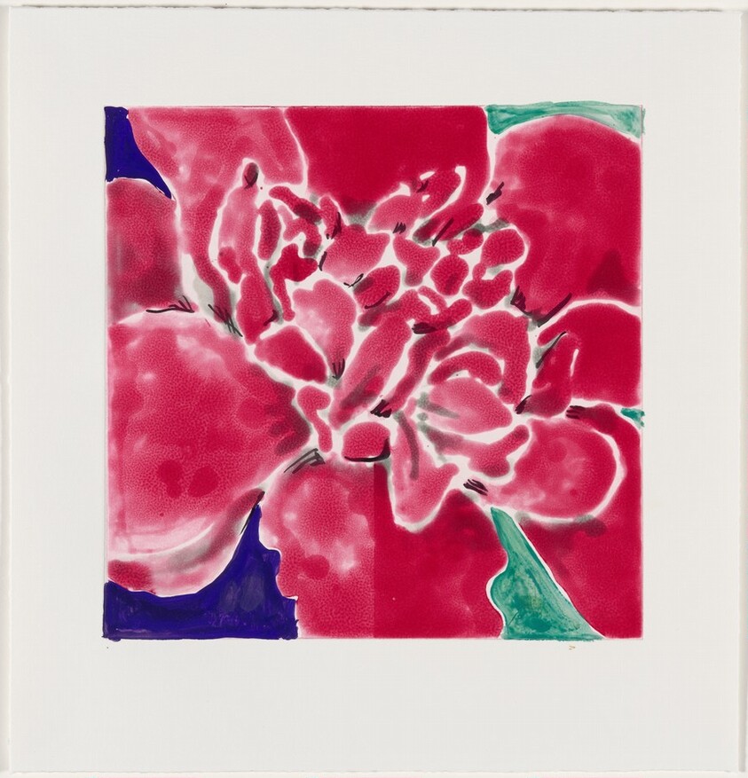 Camellia Red [working proof 3]