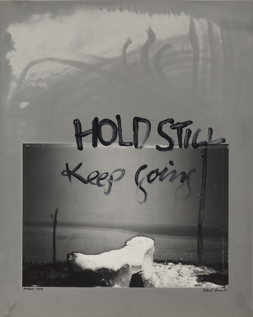 Hold Still--Keep Going