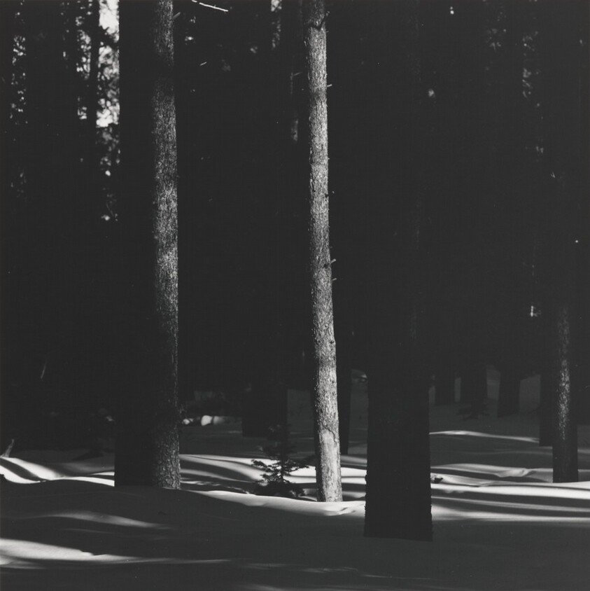 On Bierstadt Moraine, Rocky Mountain National Park. Boulder, Colorado