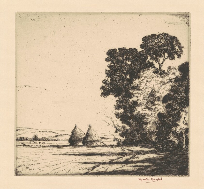 Under the North Downs, Kent