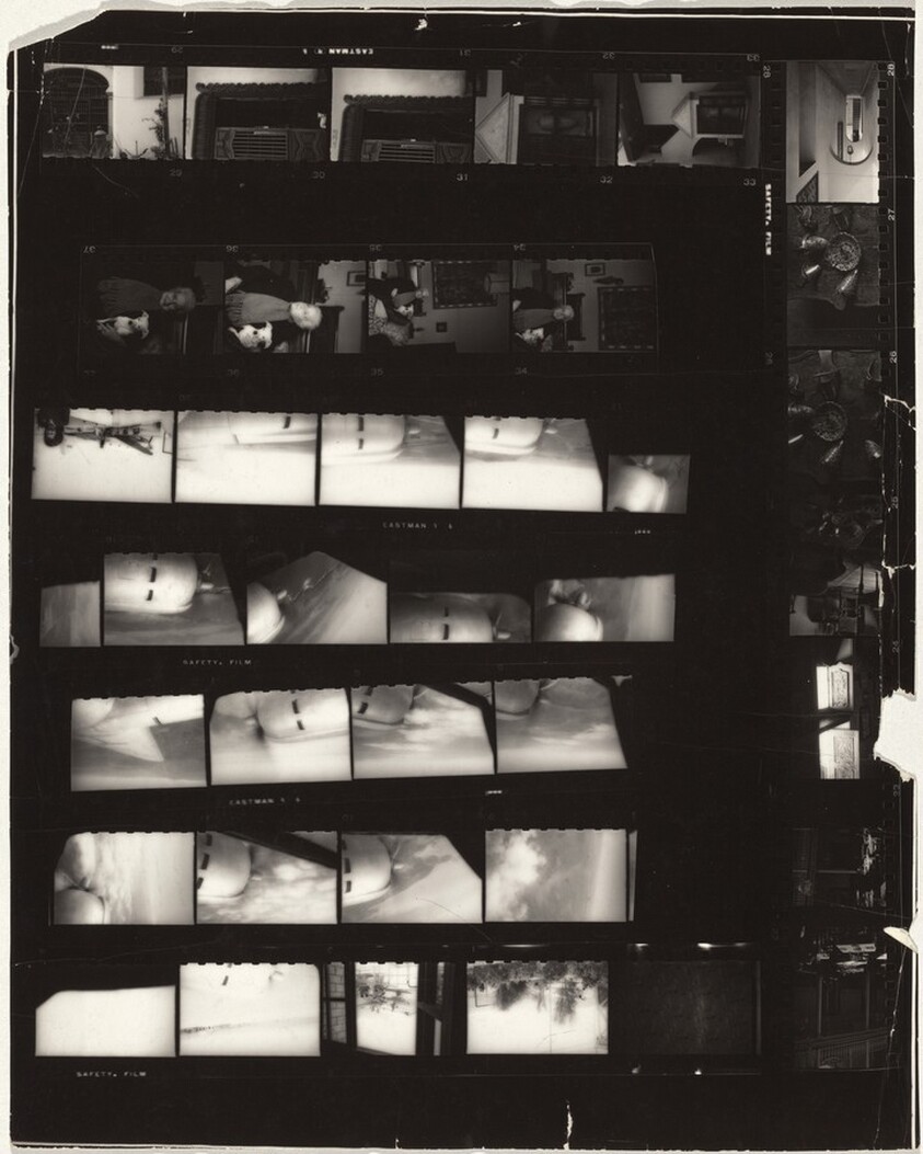 South America and Spain 14