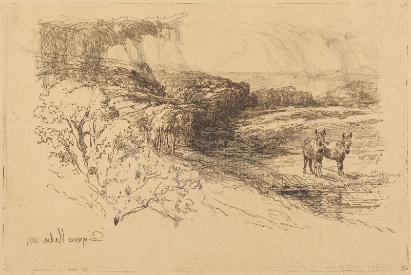 Encombe Woods (No.1)