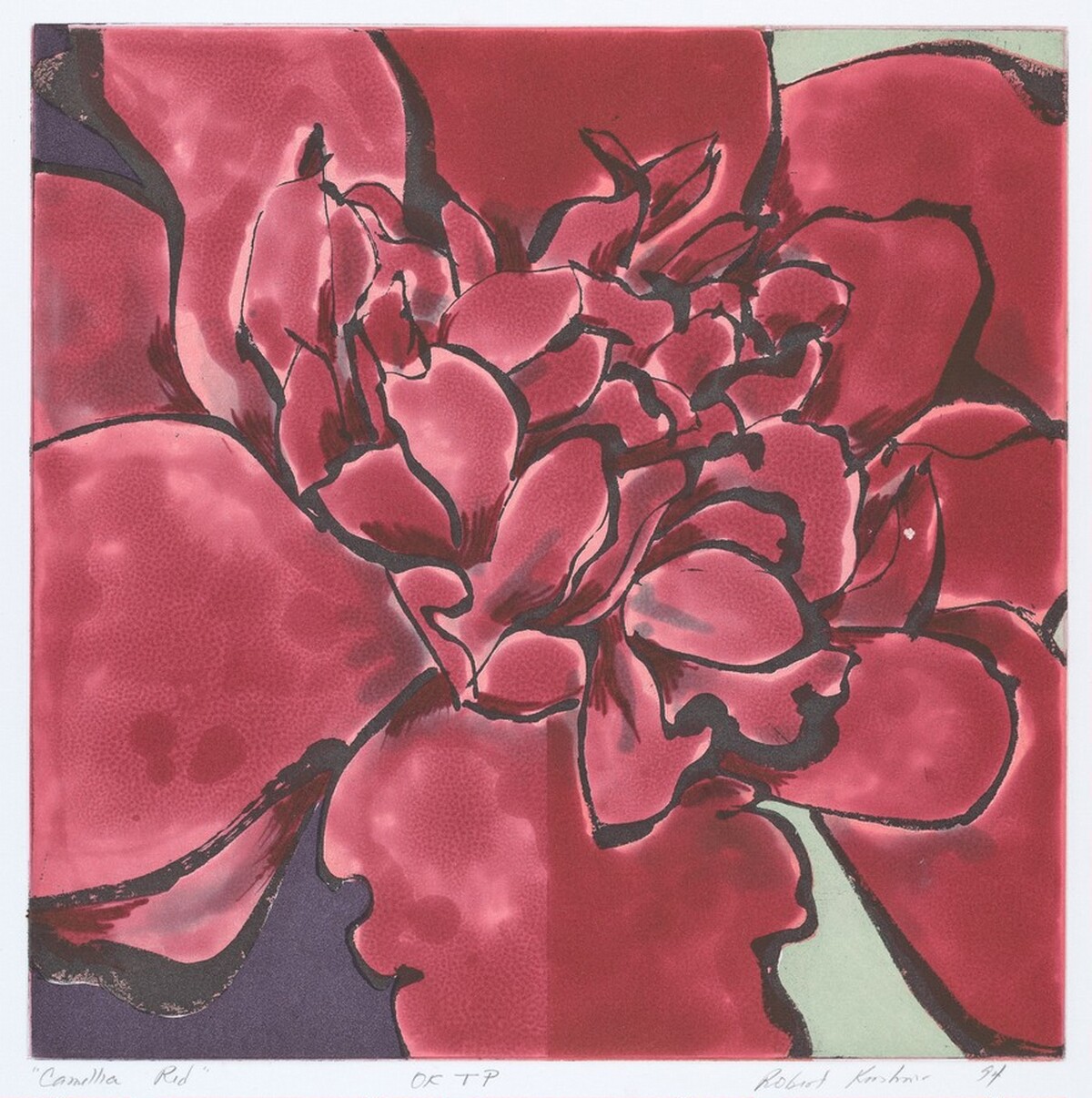Camellia Red