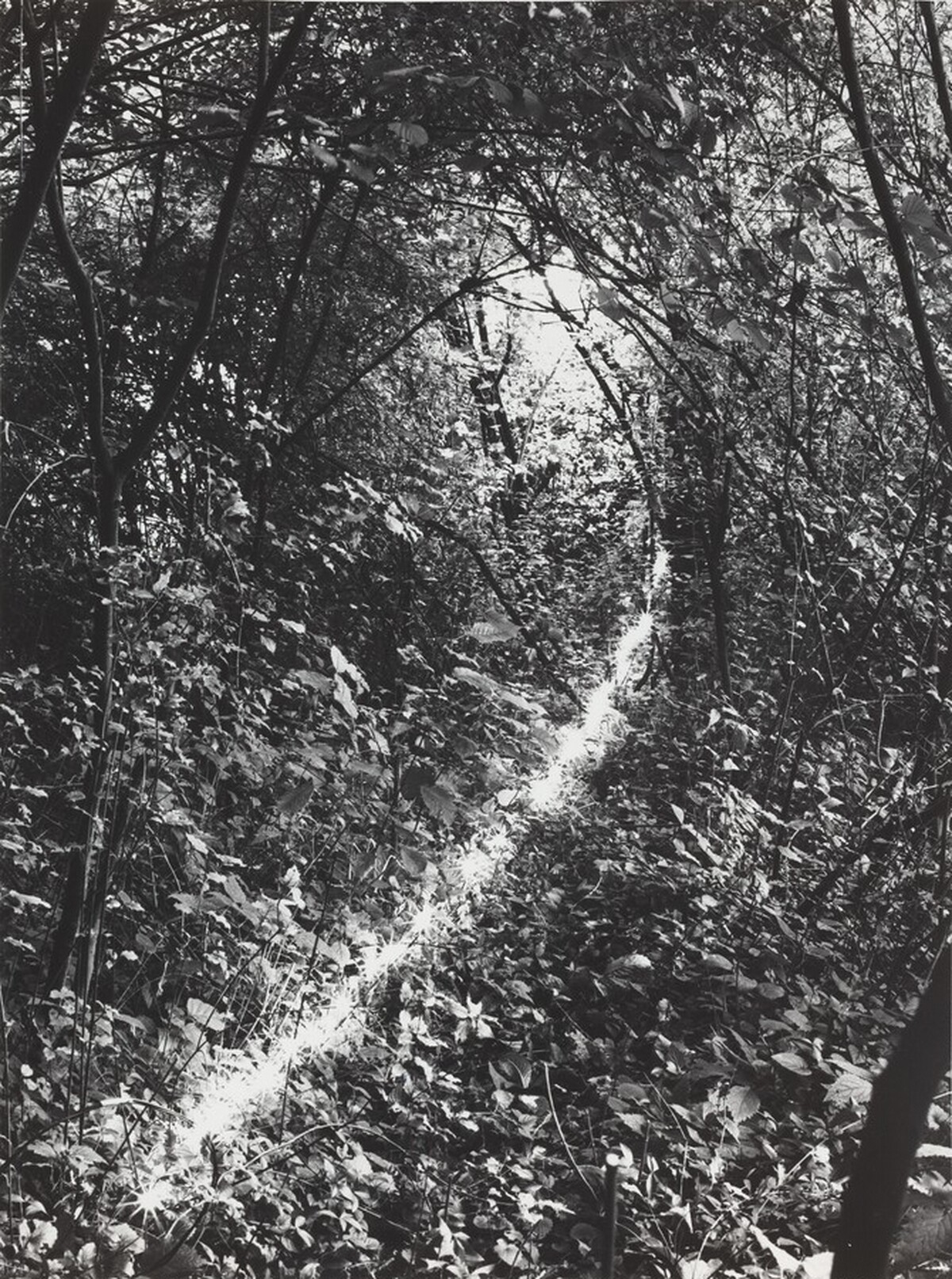 Erinnerungsspur--Statische Vibration (Memory's Trace--Static Vibration)