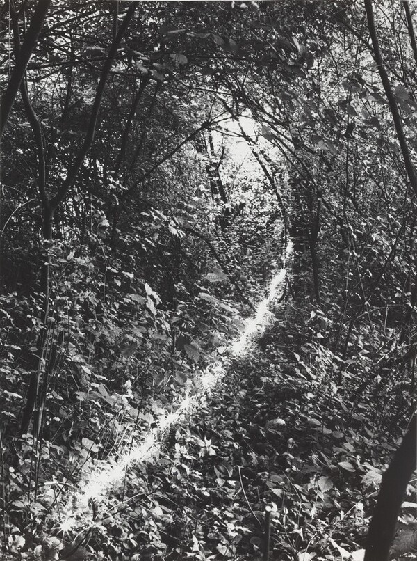 Erinnerungsspur--Statische Vibration (Memory's Trace--Static Vibration)