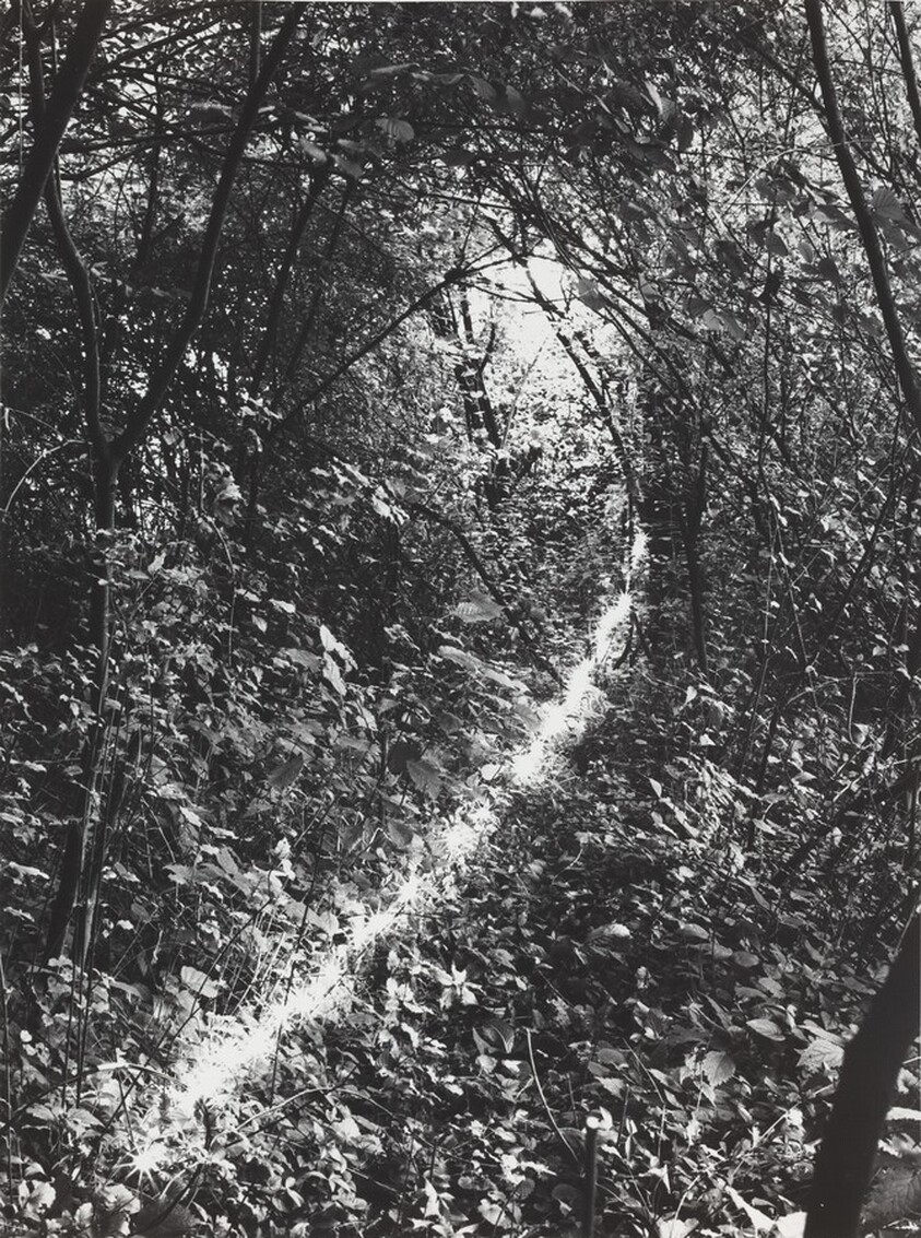 Erinnerungsspur--Statische Vibration (Memory's Trace--Static Vibration)