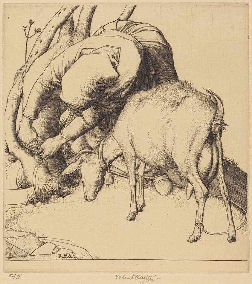 Woman Tethering a Goat