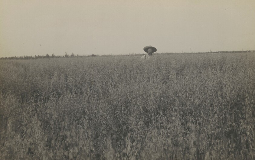 Man in a Field