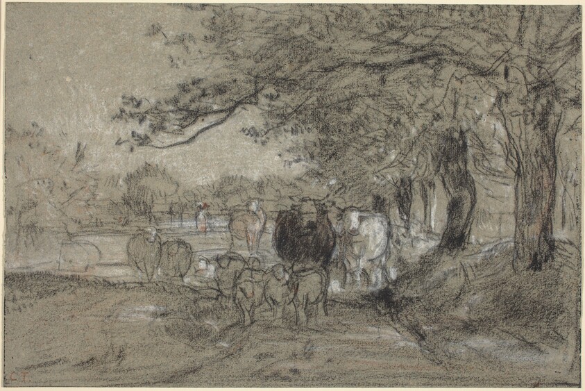 Cows and Sheep under Trees