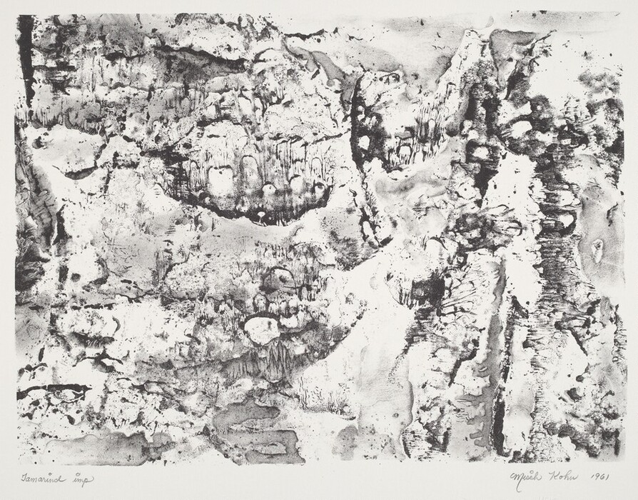 The image displays a variety of shapes and lines in an abstract composition. These forms resemble patterns in natural textures like bark or rock. Swirling lines and speckled areas are present, similar to moss or lichen on stone. Dark patches contrast with lighter areas as in shadows on terrain. Overall, the image suggests weathered landscapes or geological formations.