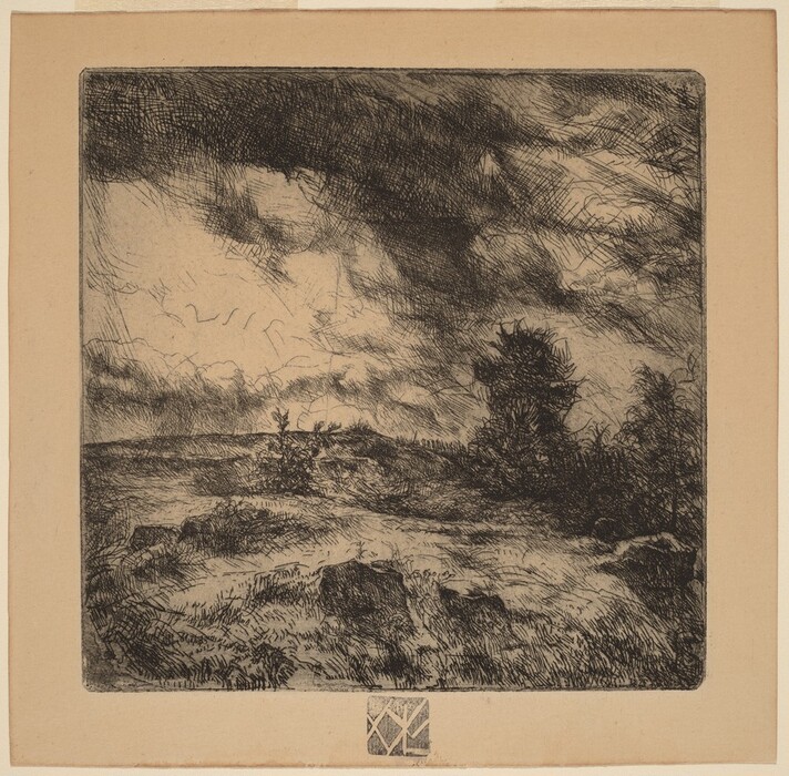 The image depicts a landscape from an elevated viewpoint. The horizon is low in the composition, with a cloudy sky dominating the upper portion. Small tree silhouettes line the horizon. The artwork features dynamic, expressive brushstrokes with dense cross-hatching for depth. The color palette is monochromatic, with black and white hues. The terrain is rugged with rocks and grass leading toward distant trees.