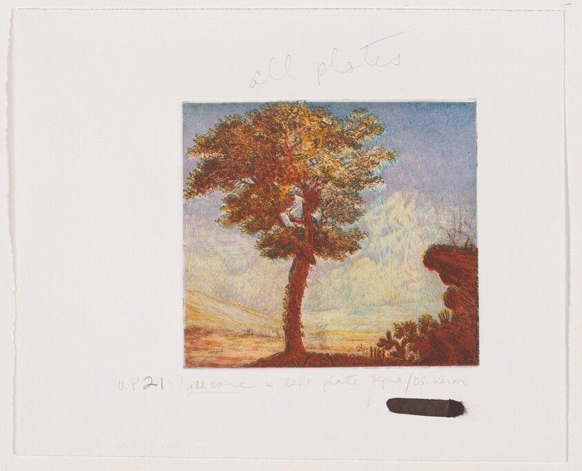 Untitled (#2) [working proof 21]