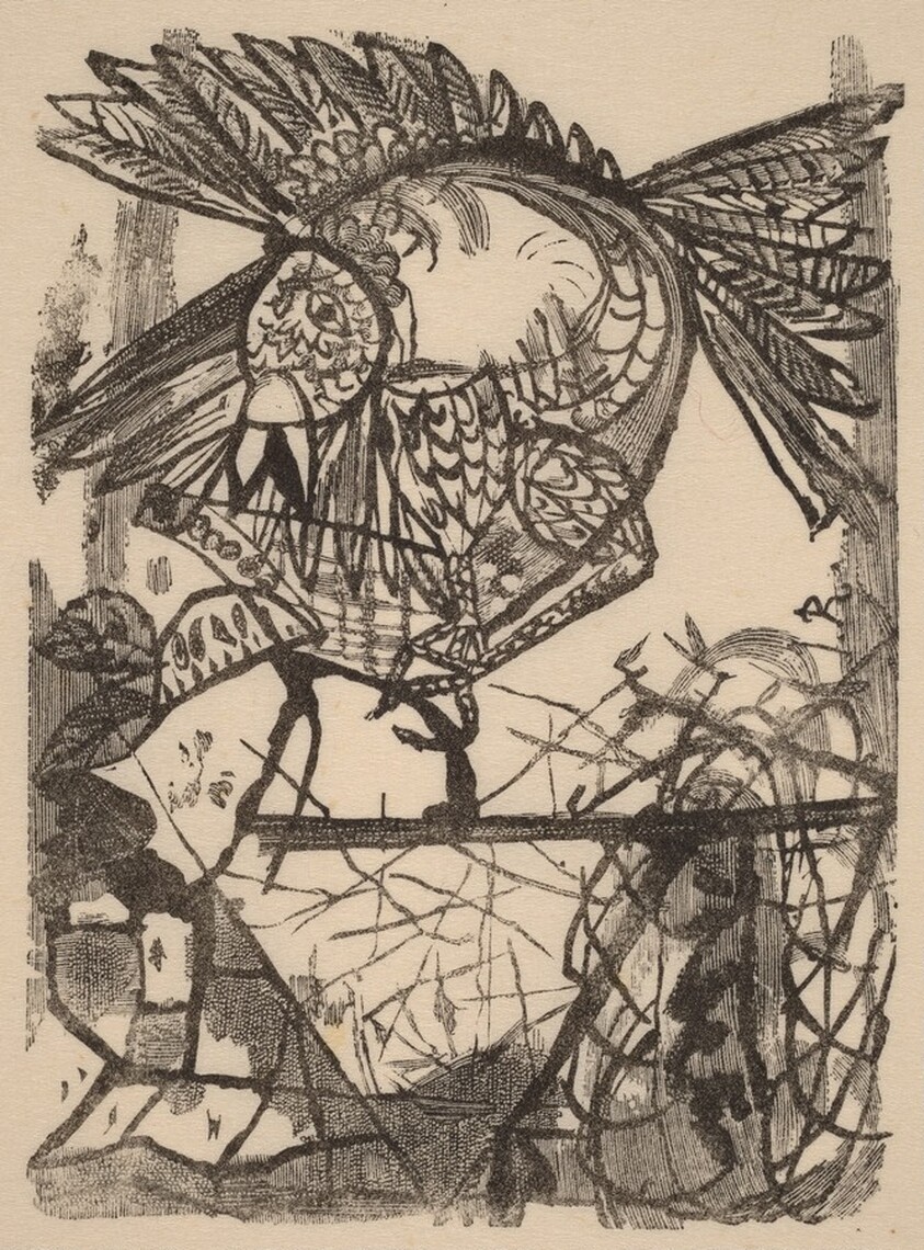 Der Vogel & Sein Nest