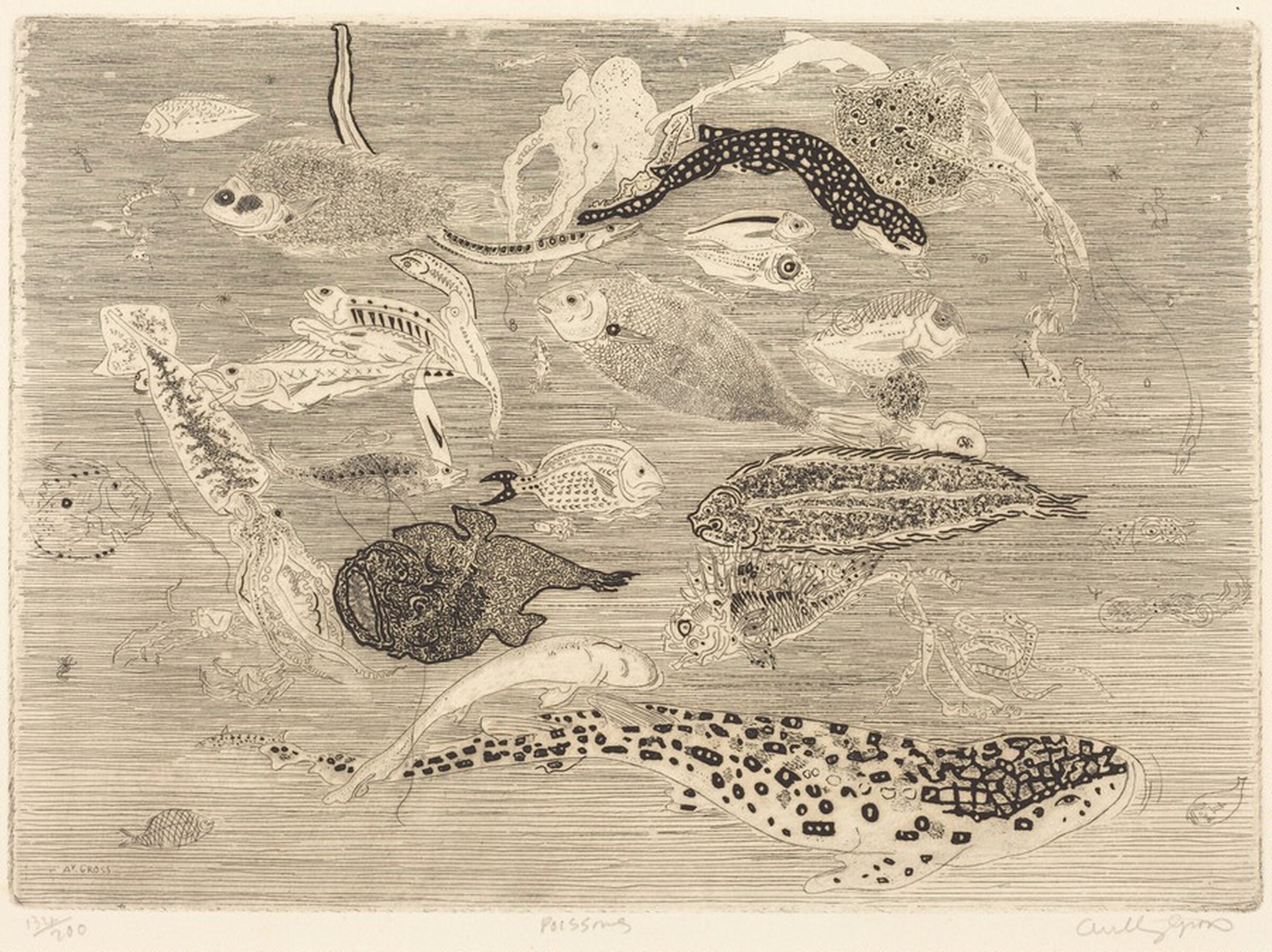 Poissons (Fish), Anthony Gross, 1951
