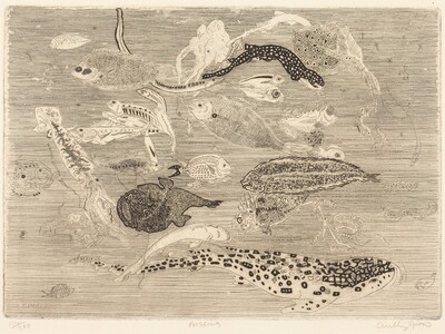 Poissons (Fish)