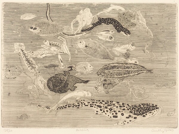 Poissons (Fish)