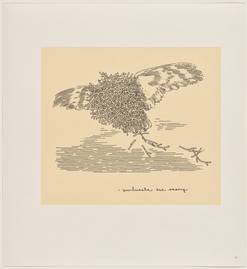 Owl Feathers: page 17