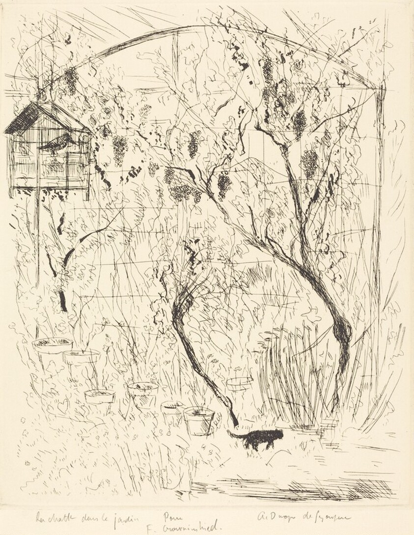 La chatte dans le jardin