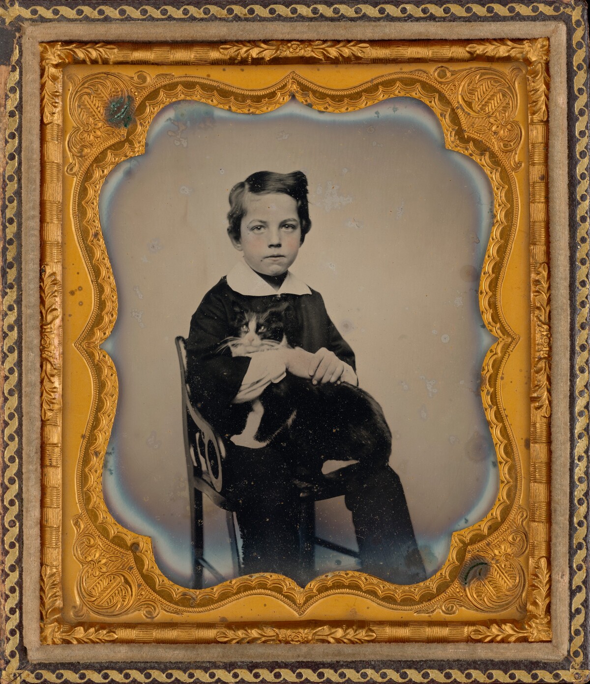 Portrait of a Boy and Cat