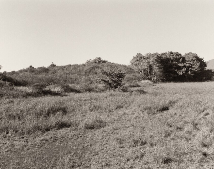 The Interior of the Spit