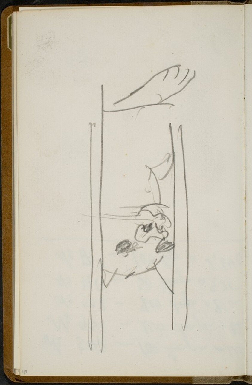 Raubkatze hinter Gitterstäben (Big Cat Behind Bars) [p. 48]