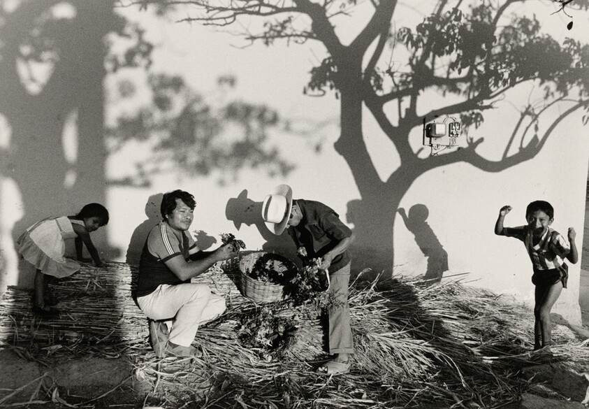 Después del rapto, Juchitán, México (After the Abduction, Juchitán, Mexico)
