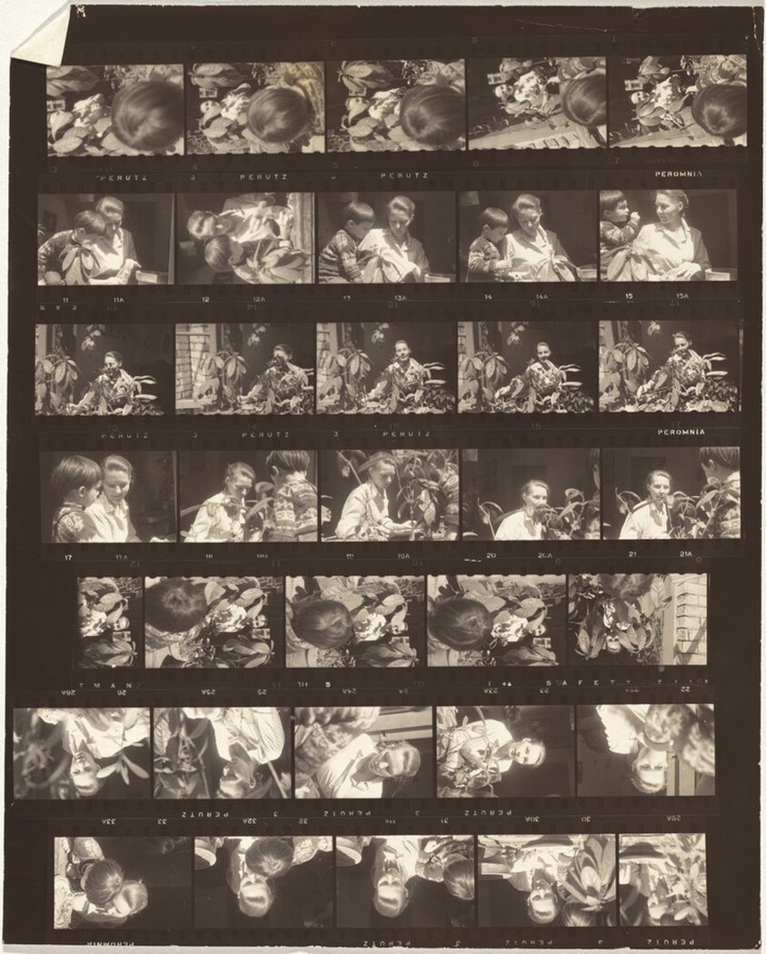 Miles and Barbara Forst no number