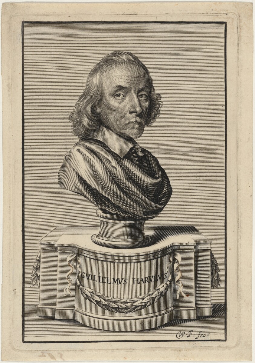 William Harvey, M.D.
